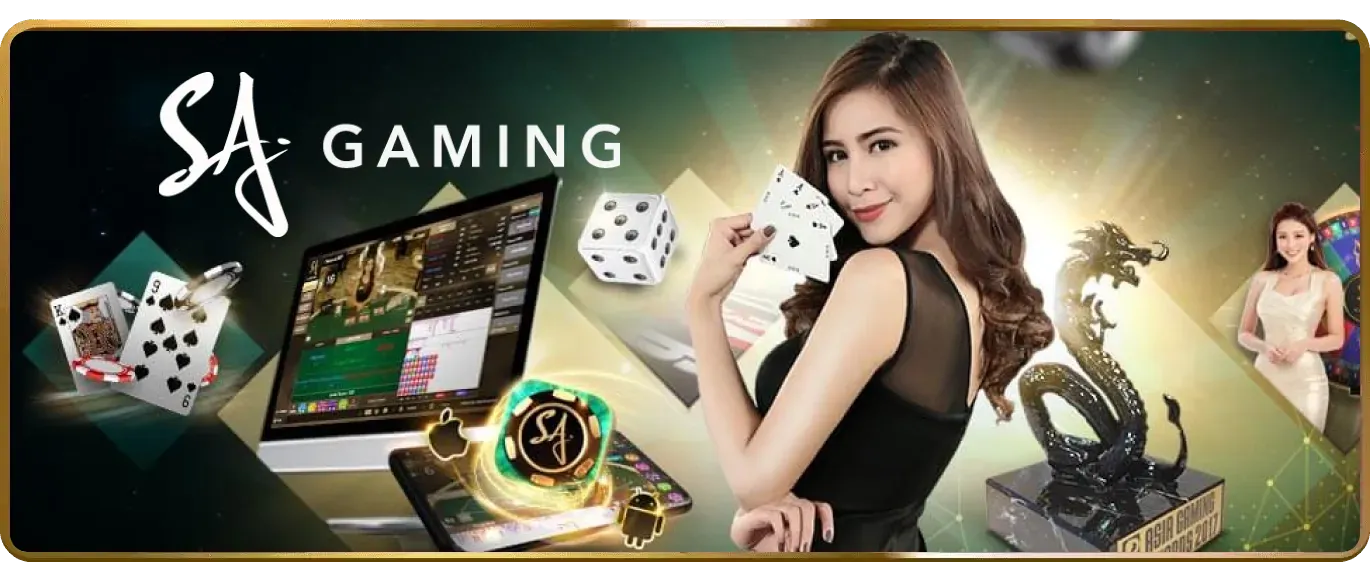 Tổng quan đá gà New888