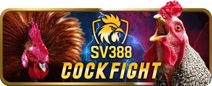 An toàn và công bằng tại New888